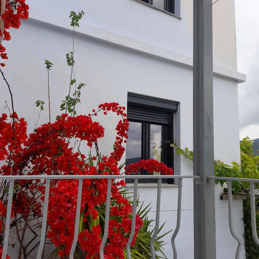 Kastro Studios Bandar Skopelos Luaran gambar
