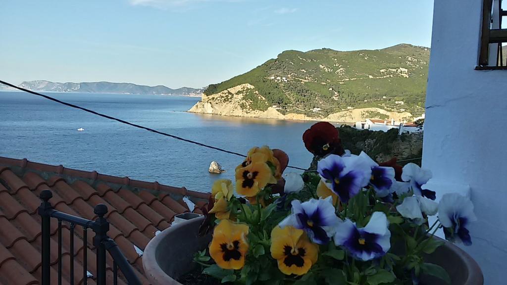 Kastro Studios Bandar Skopelos Luaran gambar